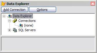 Data Explorer Initial Window